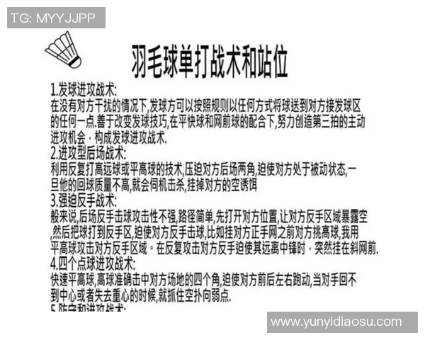 成都羽毛球队的战术解析与控制技巧深度剖析 成都羽毛球队的战术解析与控制技巧深度剖析