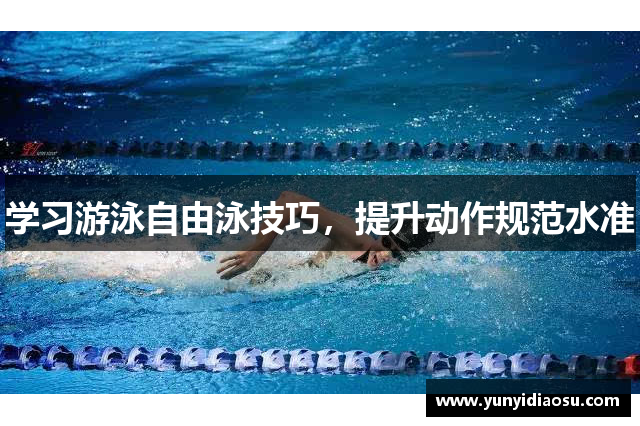 学习游泳自由泳技巧，提升动作规范水准