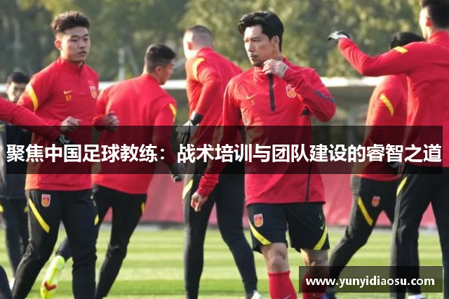 聚焦中国足球教练：战术培训与团队建设的睿智之道